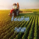 مزیت های استفاده از بنتونیت در کشاورزی