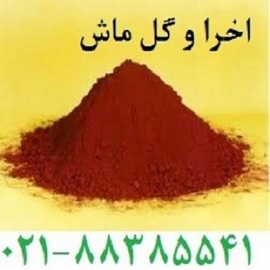 اخرا گل وگل ماش
