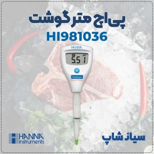 پی اچ متر قلمی HI981036 برای گوشت و مرغ