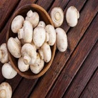 آموزش حرفه‌ای پرورش قارچ