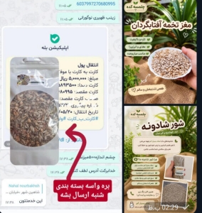 آجیل وخشکبارتنقلات سالم